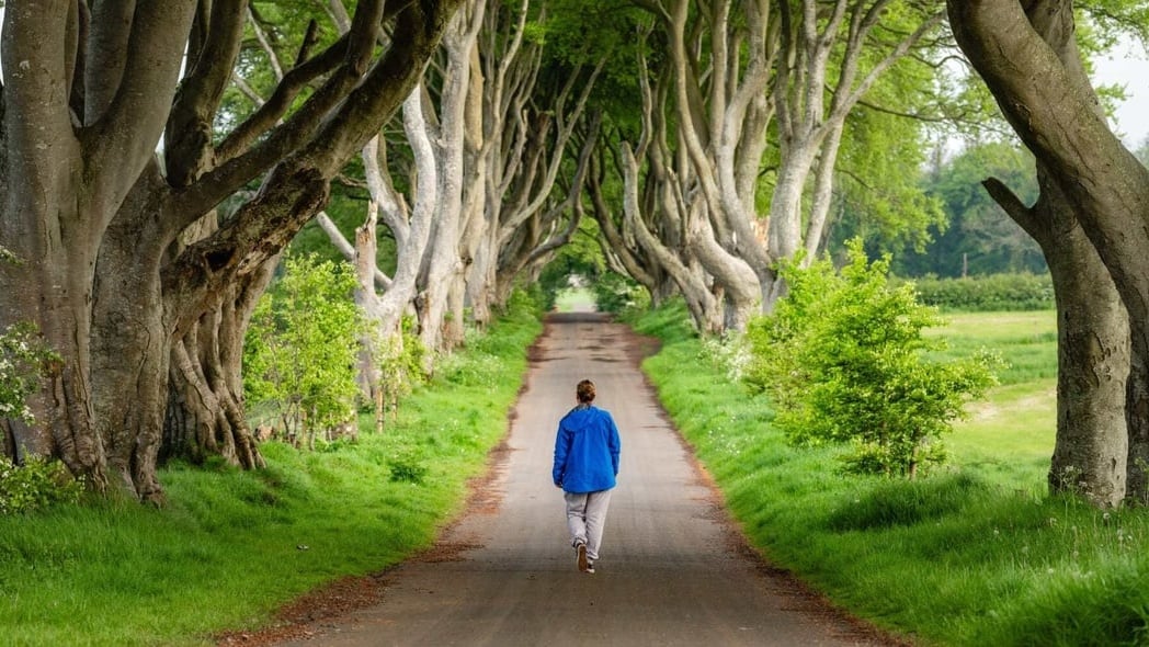 Game of Thrones Filming Locations Belfast Guide