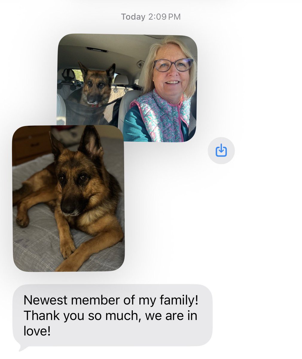 Shelby's Forever Home photo 3