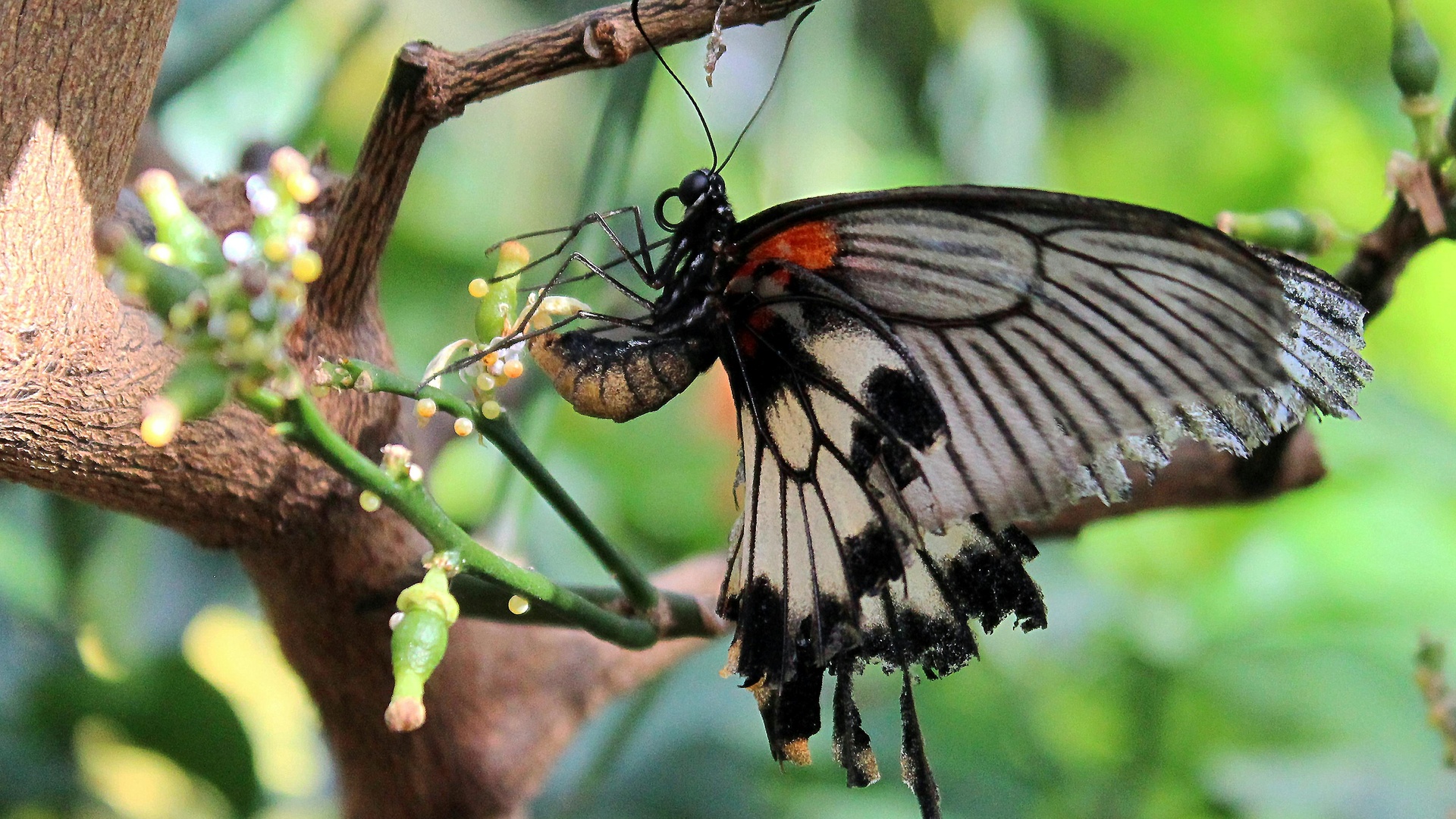 Overcoming the Fear of Reinvention: Why It's Never Too Late to Start Over