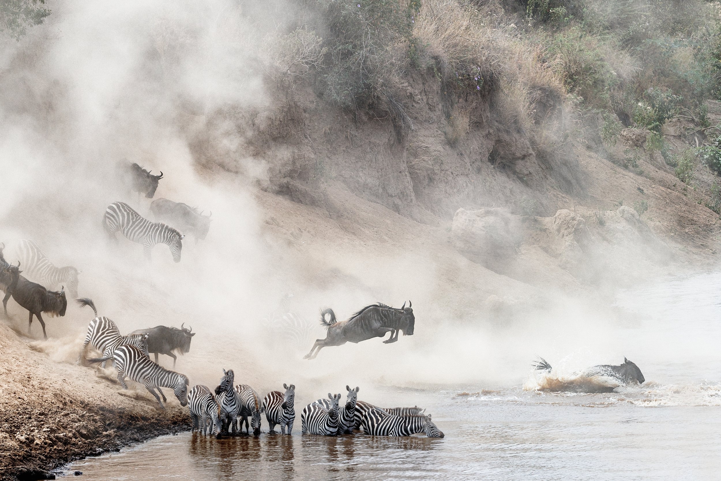 The Wildebeest Migration: Complete Guide — Where, When & Where to Stay