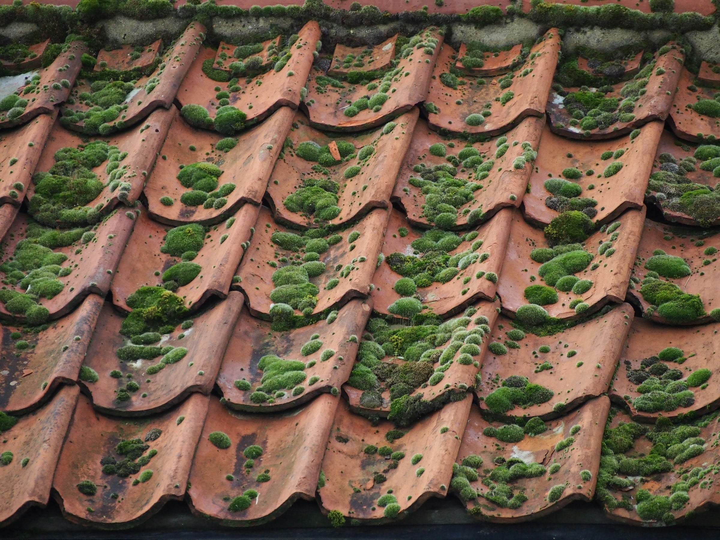 Roof Inspections & Surveys – example work on a UK property, photo 4