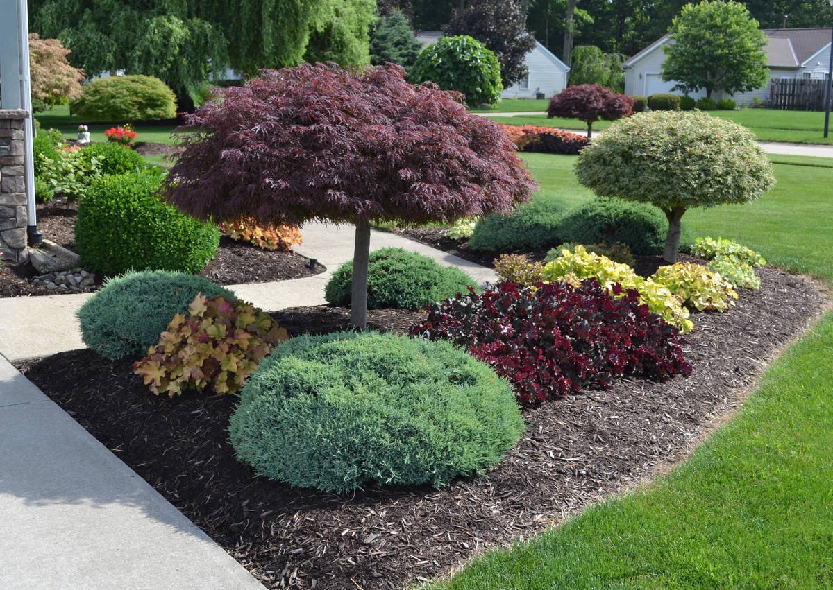 General Landscaping service in Center, TX