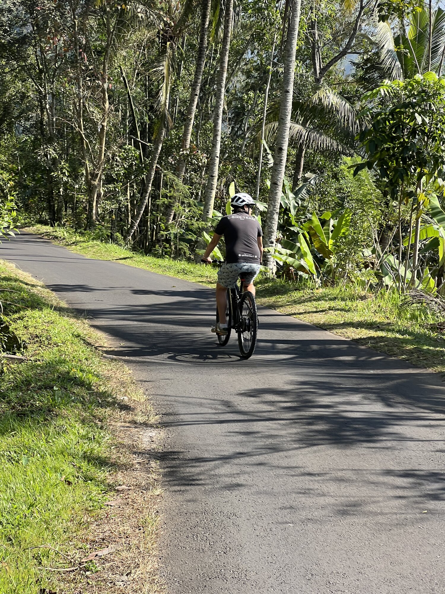 UNIKAT e-bike rider cycling through a tropical forest road in Bali — lush vegetation and tall palm trees lining the path