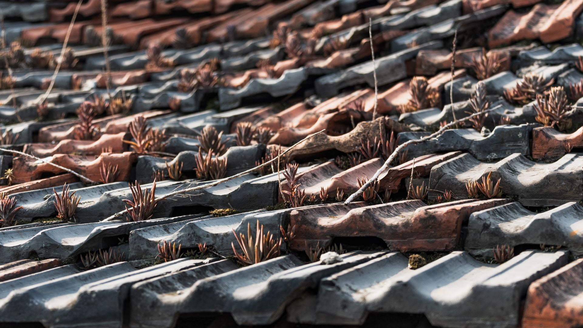 Emergency Roofing work by AS Roofing - image 2
