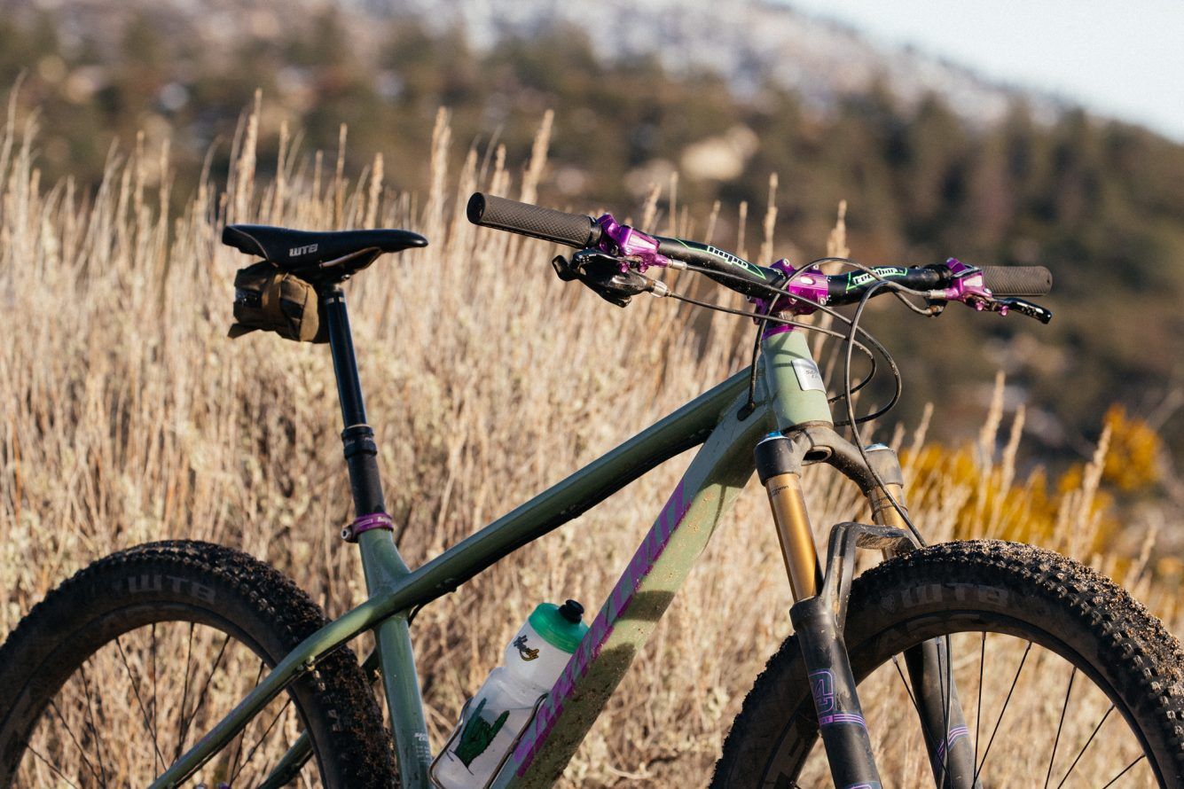 Santa Cruz Chameleon 4