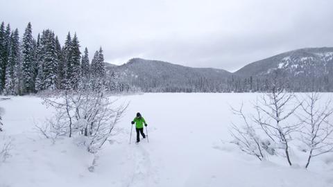 Snowshoeing through snowy forest near Revelstoke