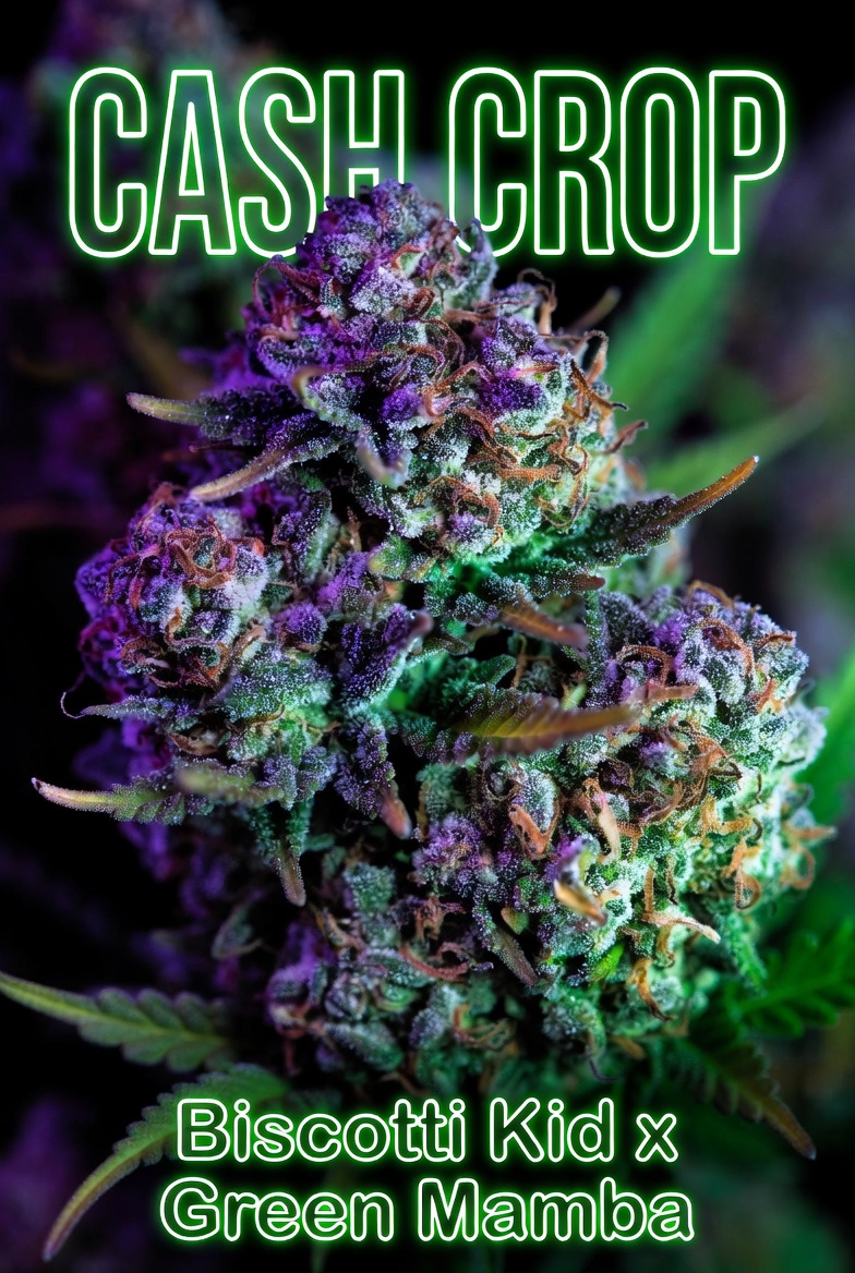 Cash Crop