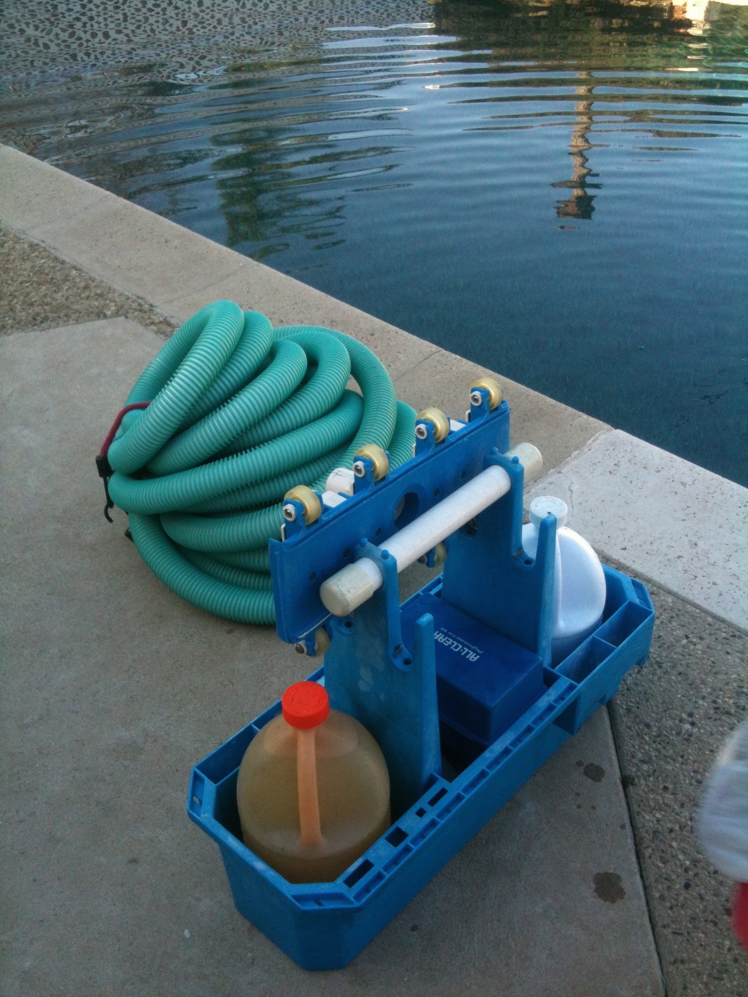 Professional pool maintenance worker