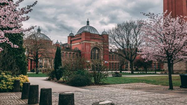 Thorp Academy