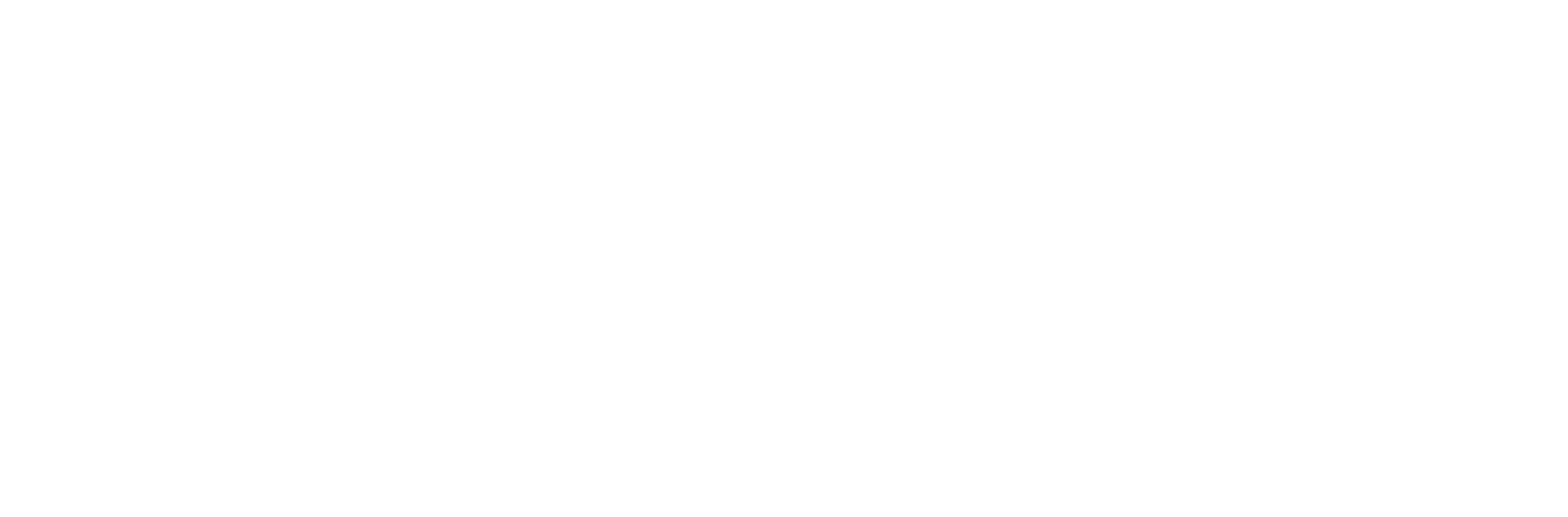 Pillow Guy logo