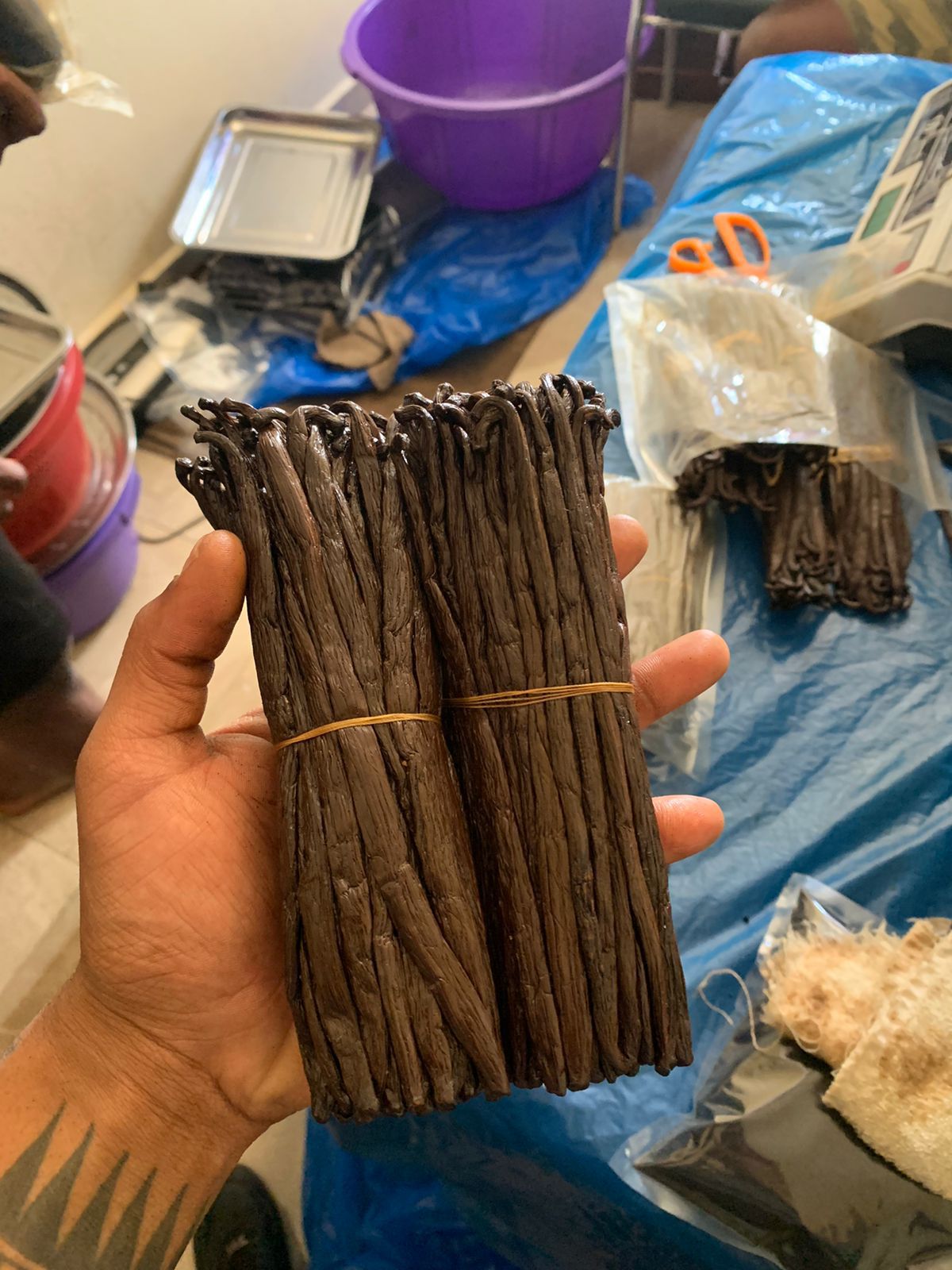 Vanille Bourbon de Madagascar – Gourmet (14–16 cm)