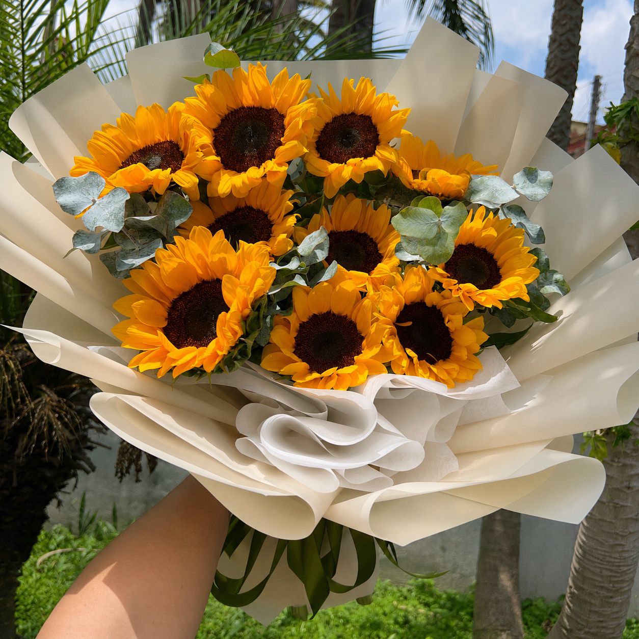 Ramo Girasoles 10pz