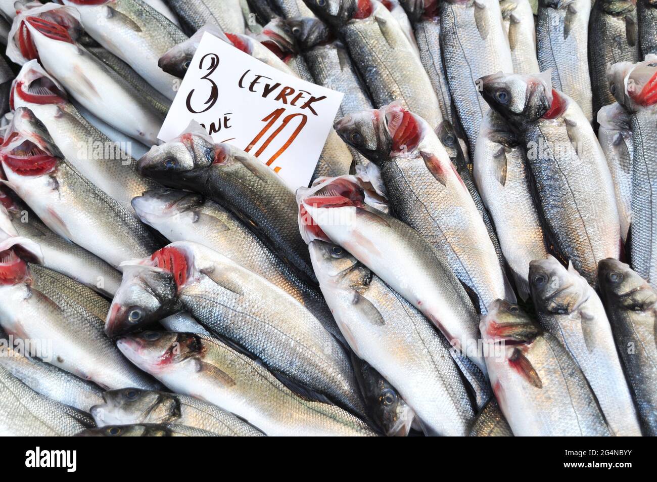 Fresh fish catch display