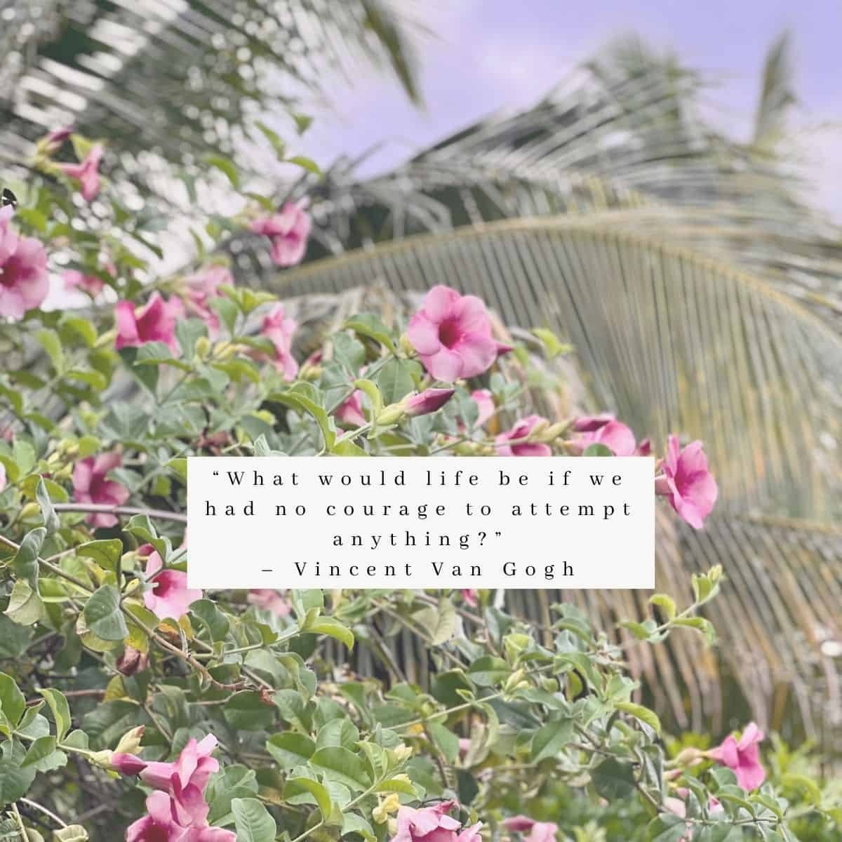 Dia 3: Novo caminho e renascimento