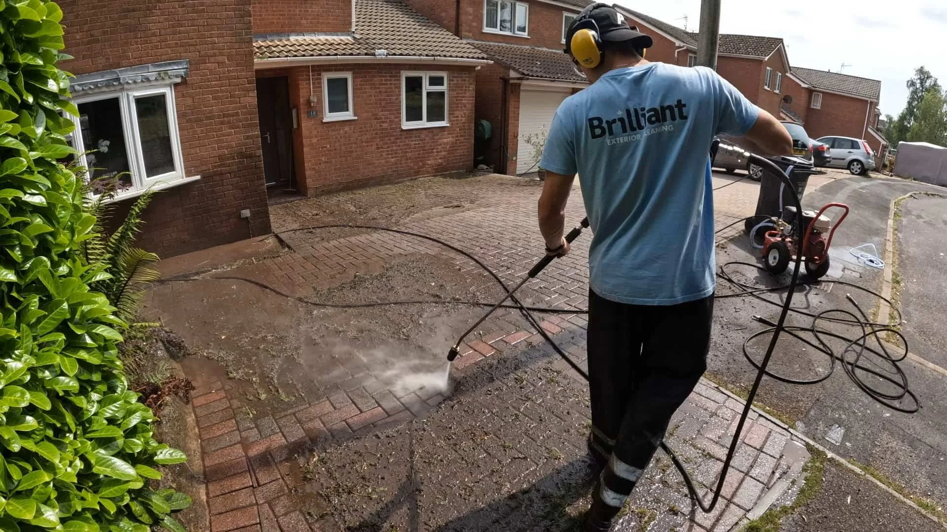Moss Removal Service