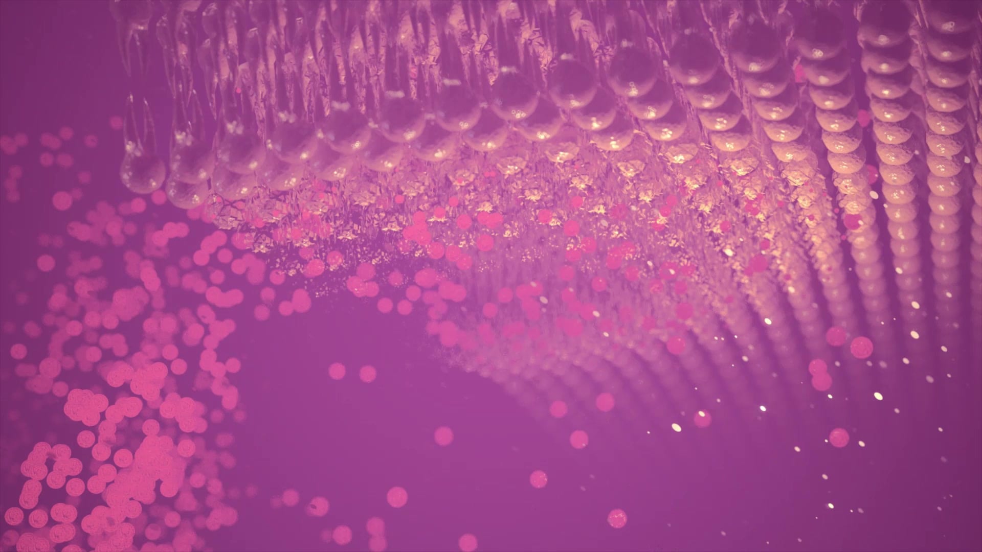 Human torso visualization showing oxidative stress with free radicals attacking cells