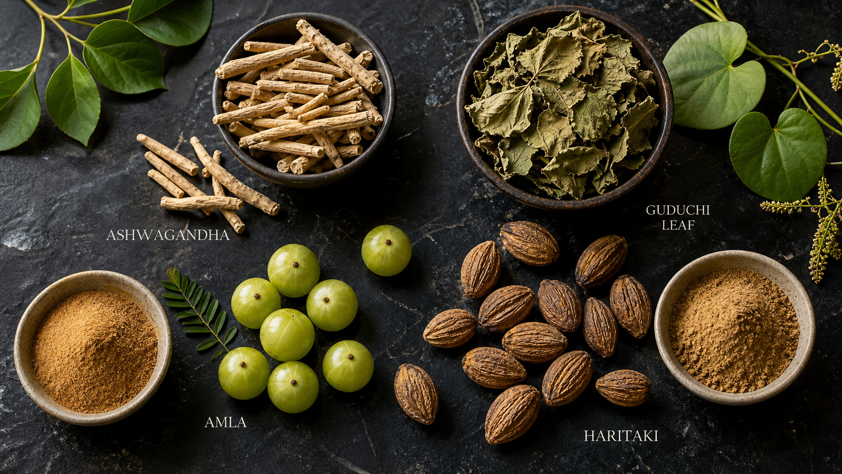 Rasayana: The Ayurvedic Science of Rejuvenation, Longevity Herbs, and God's Design for Cellular Renewal
