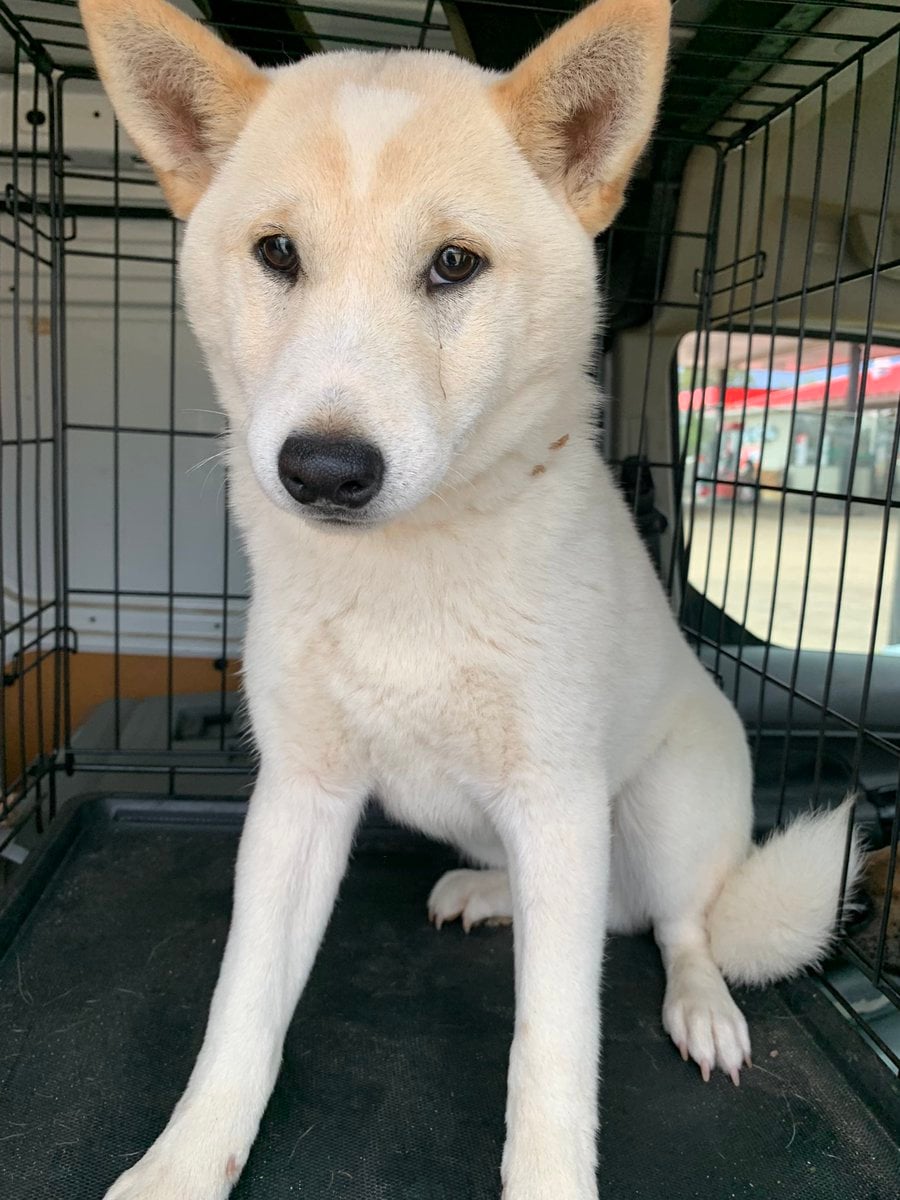 Breeding Mill Liberation