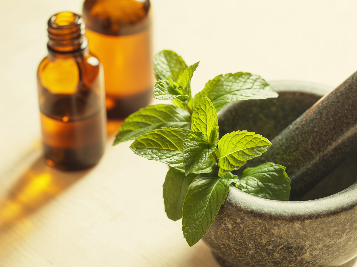 Peppermint: History, Uses & Recipes