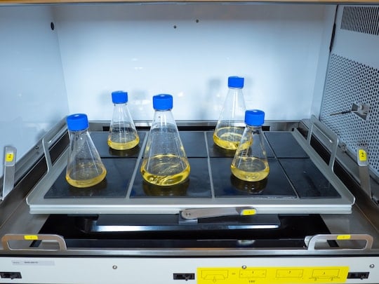 New Brunswick Innova 44/44R Incubator Shaker