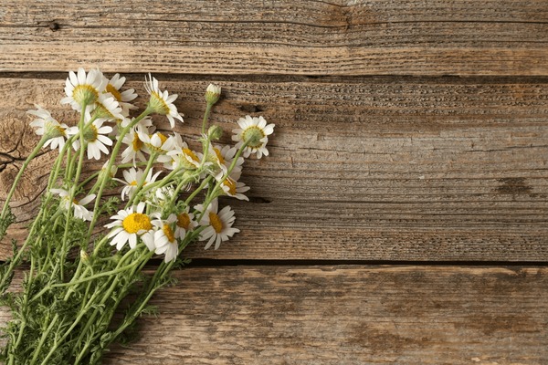 5 solutions naturelles pour soulager vos douleurs articulaires