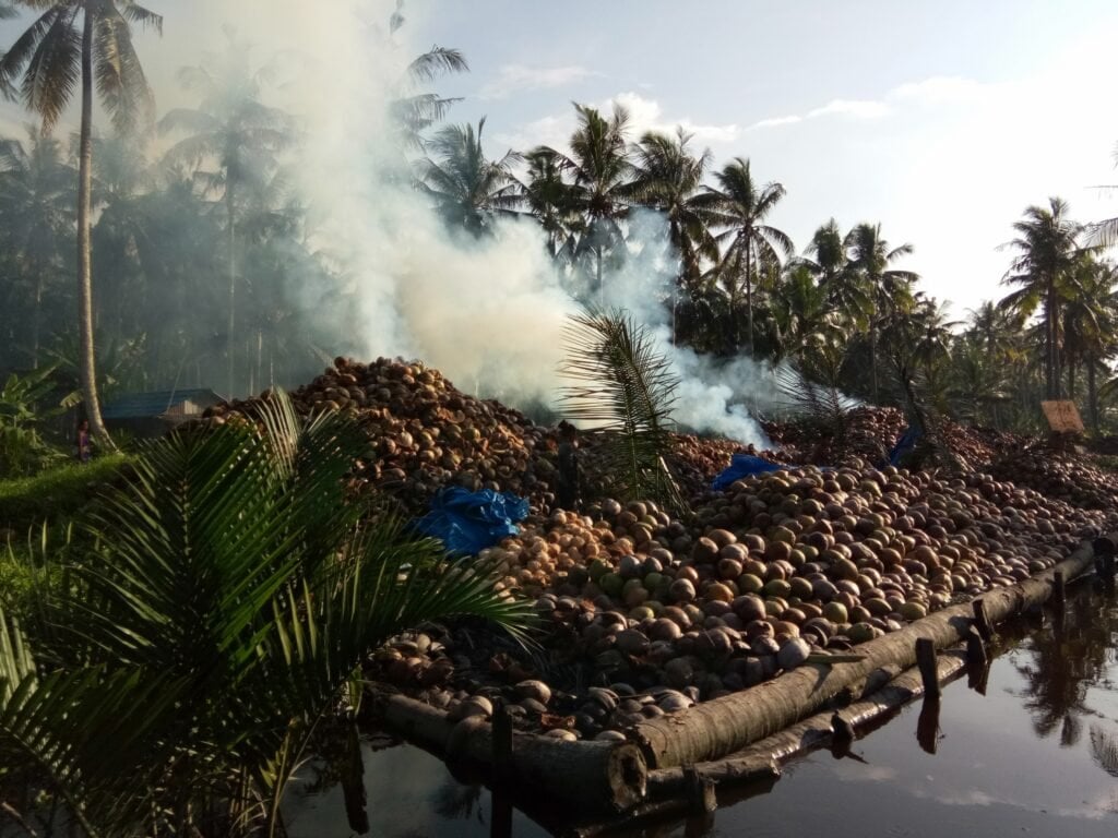 Fresh & Processed Coconut Products