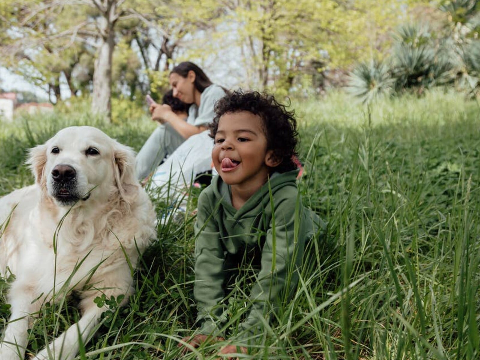Find a Furry Friend