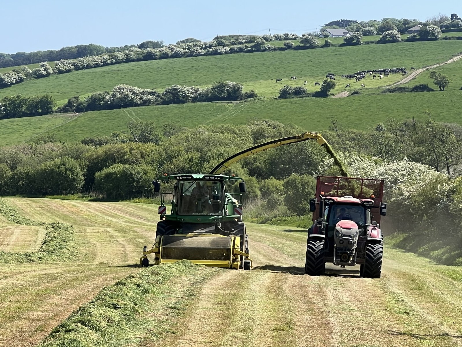 Farming & Agriculture