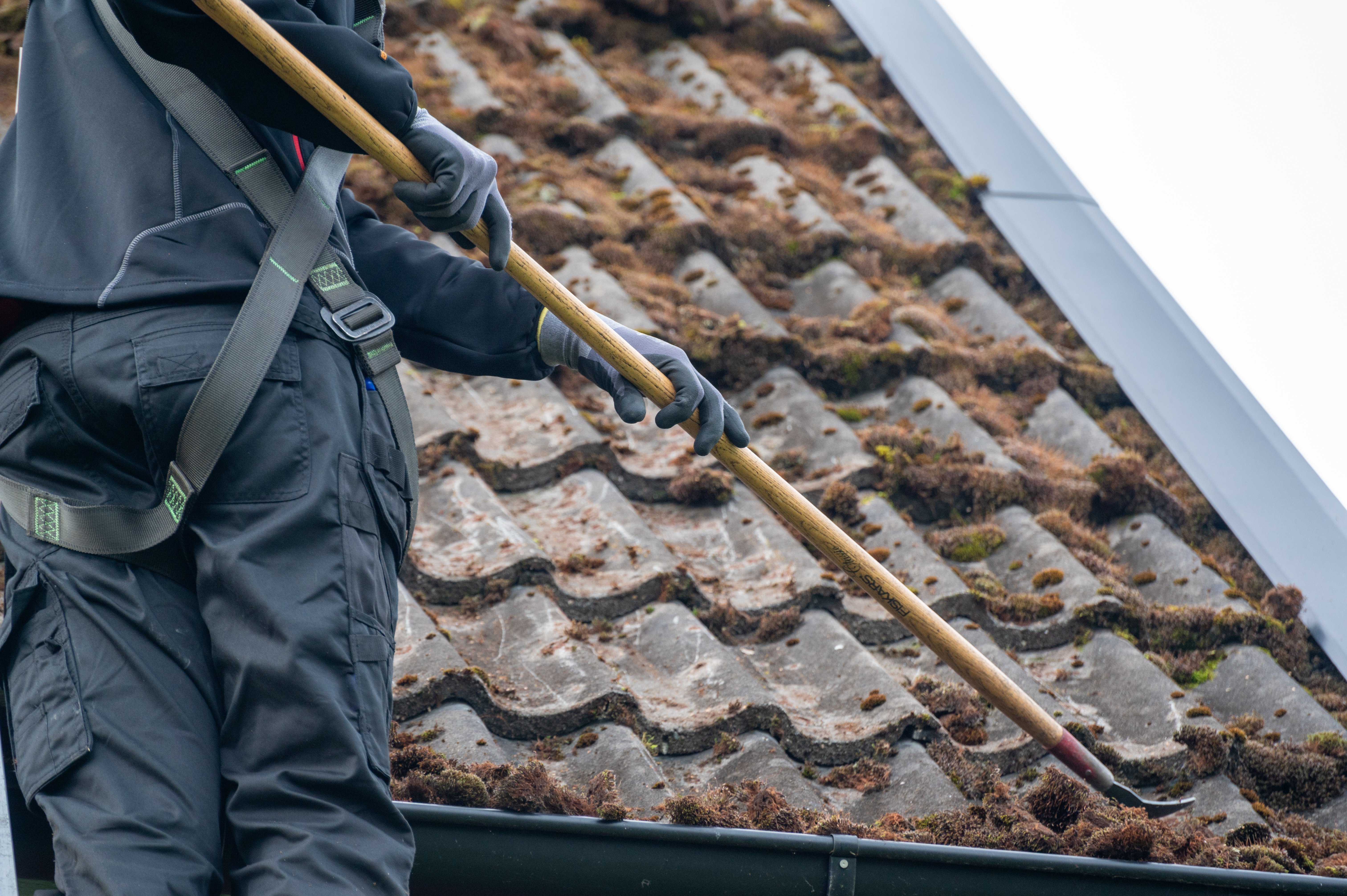 Cleaning moss from slate roof