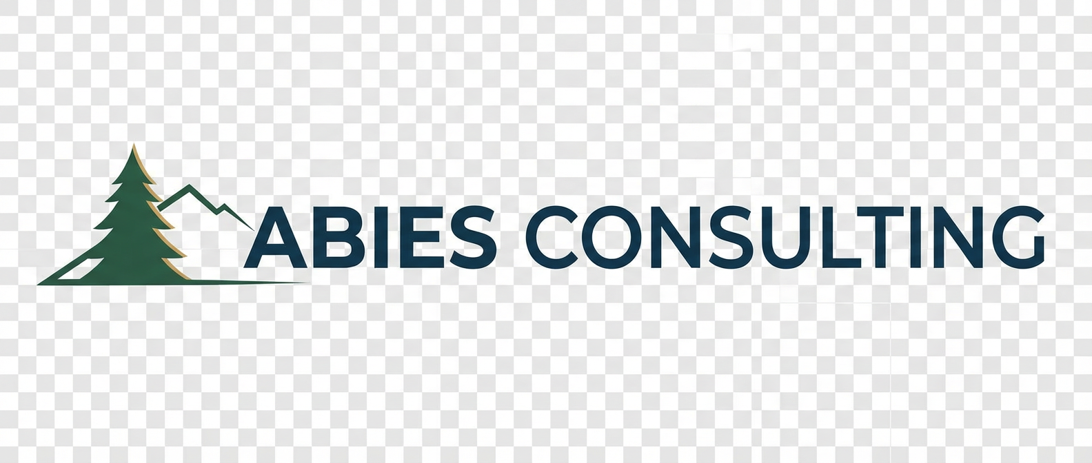ABIES CONSULTING