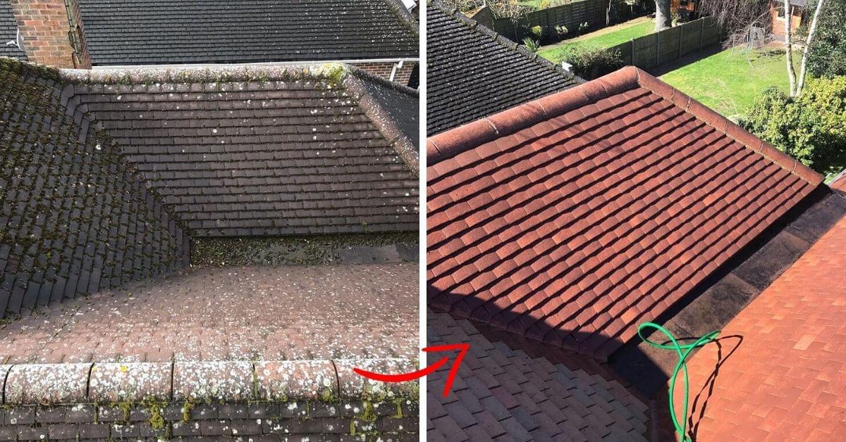 Roof Cleaning image 6