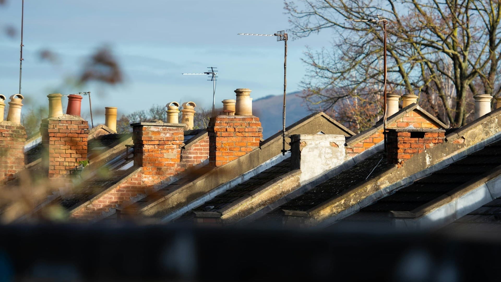 Chimney Repairs