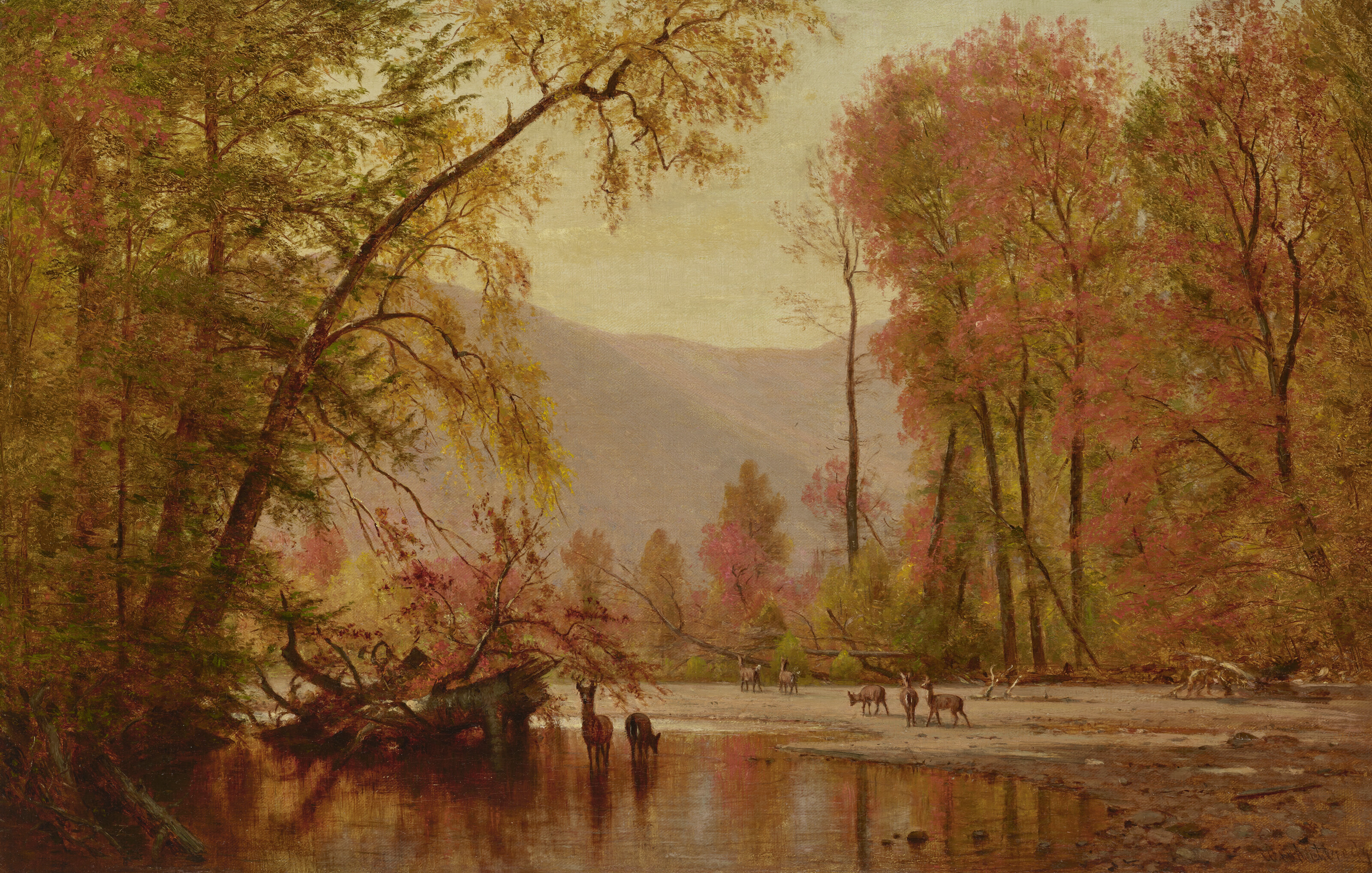 River Valley Landscape