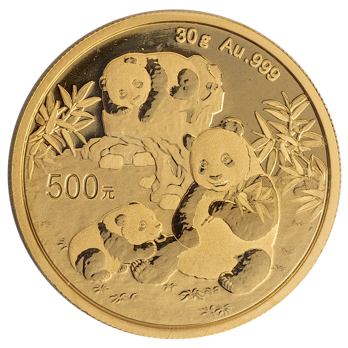 Shenzhen Guobao Mint 30g Gold Panda 2025 Coin