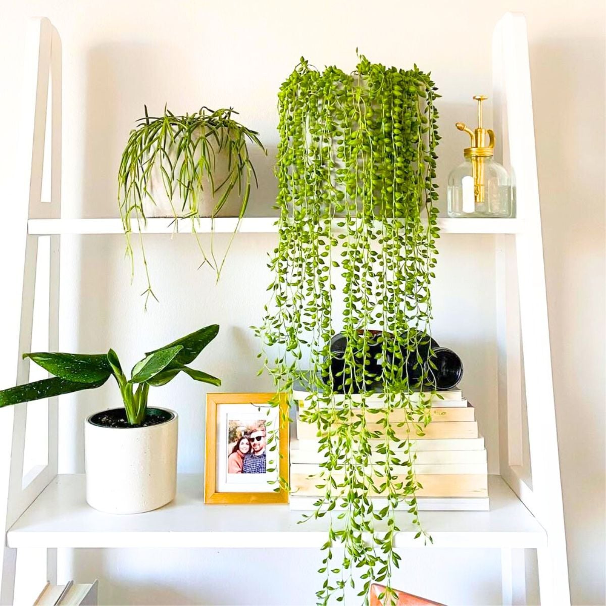 The Rise Faux Trailing Plant