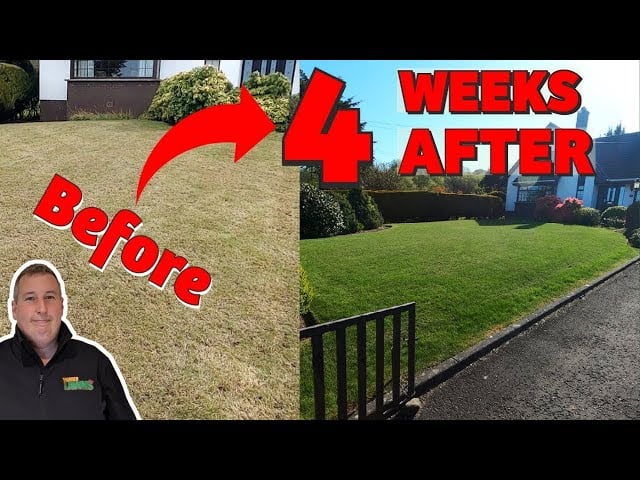 Lawn Renovation & Sod Installation - Logansport, LA