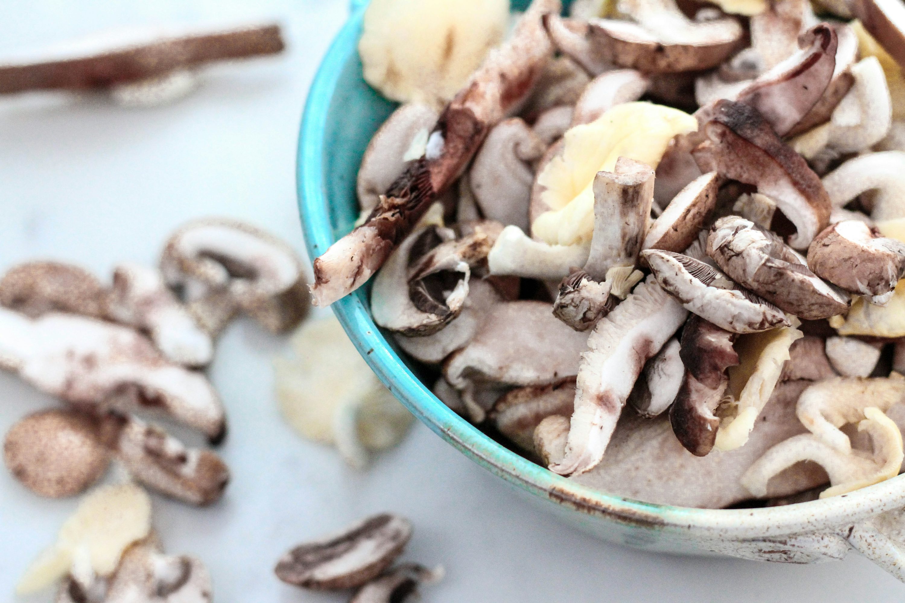 Mushrooms — ingredient guide