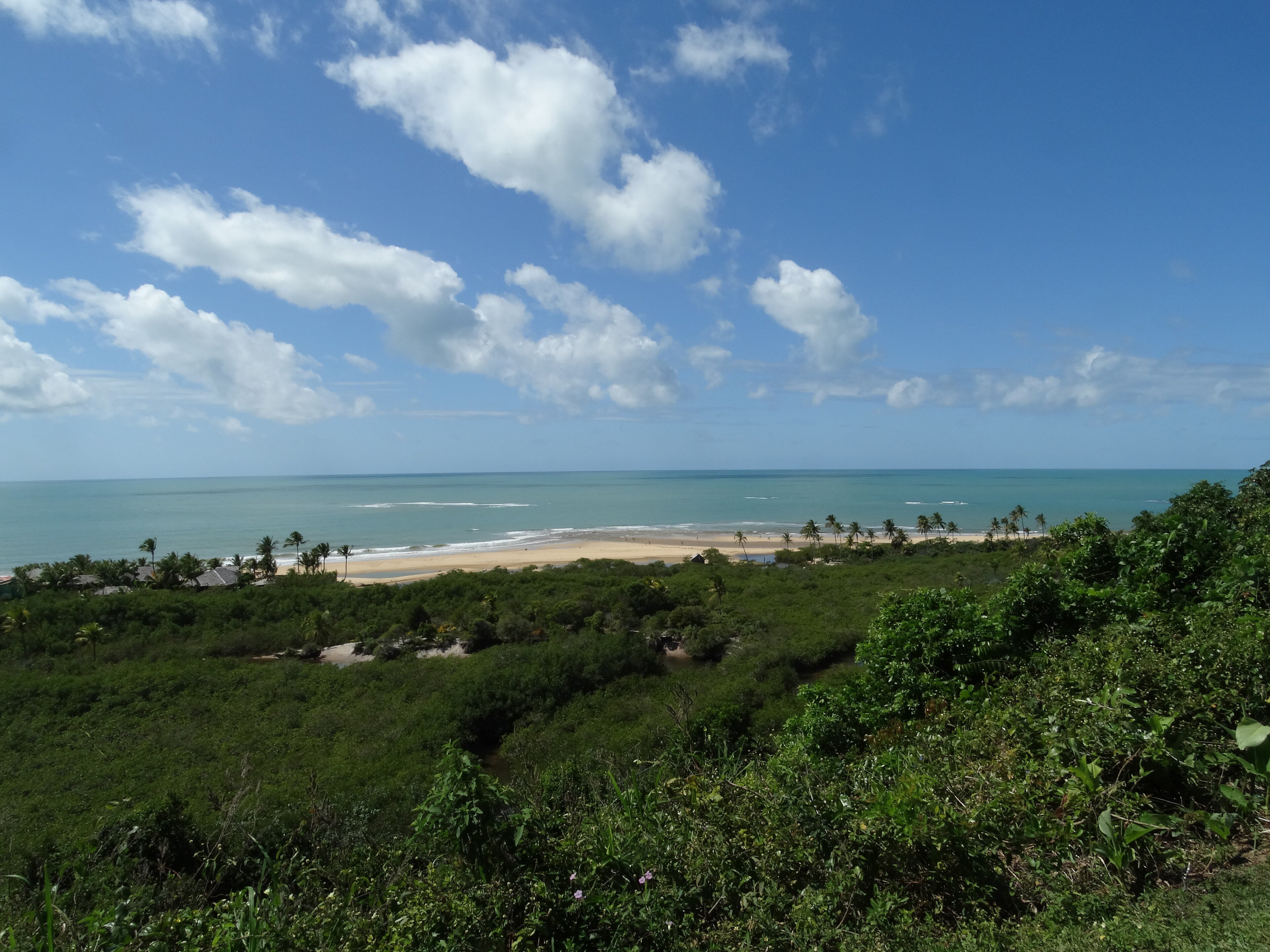 Praia dos Nativos vista panorâmica