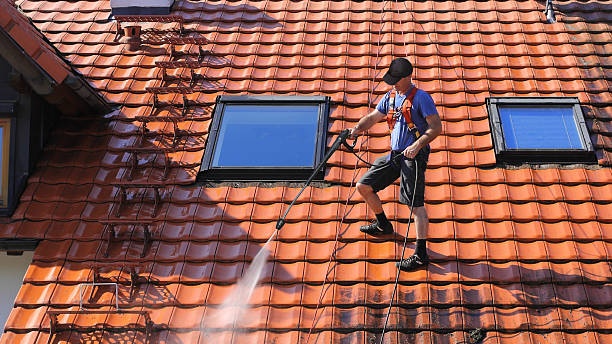 Roof Cleaning