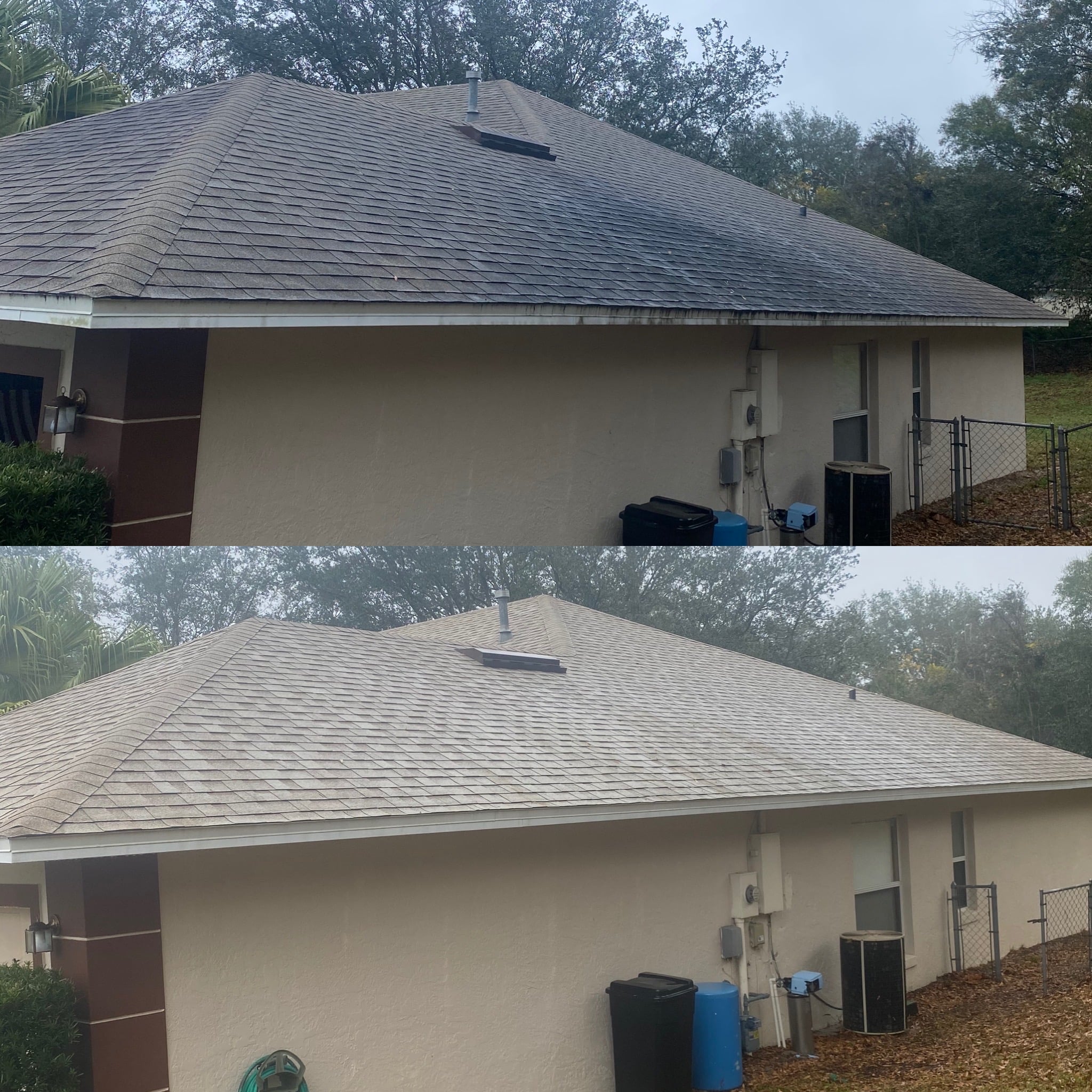 After: Roof Cleaning Results