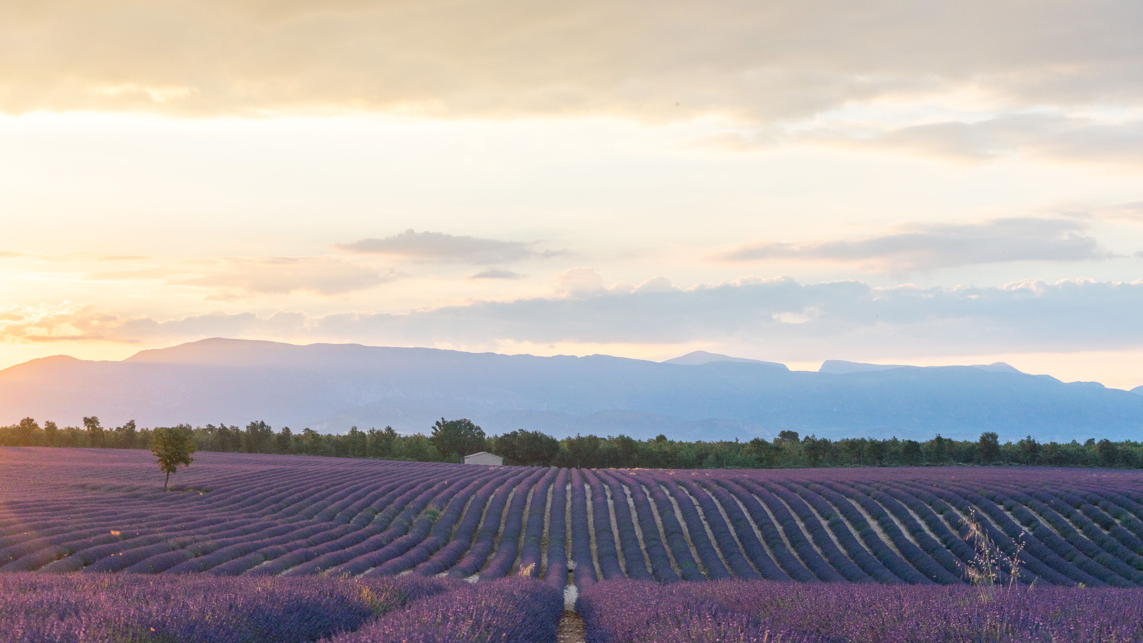 França: Memórias e Tradições