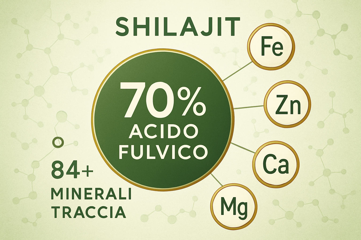 Composizione Wellness Nest Shilajit - 70% Acido Fulvico e 84+ Minerali Traccia