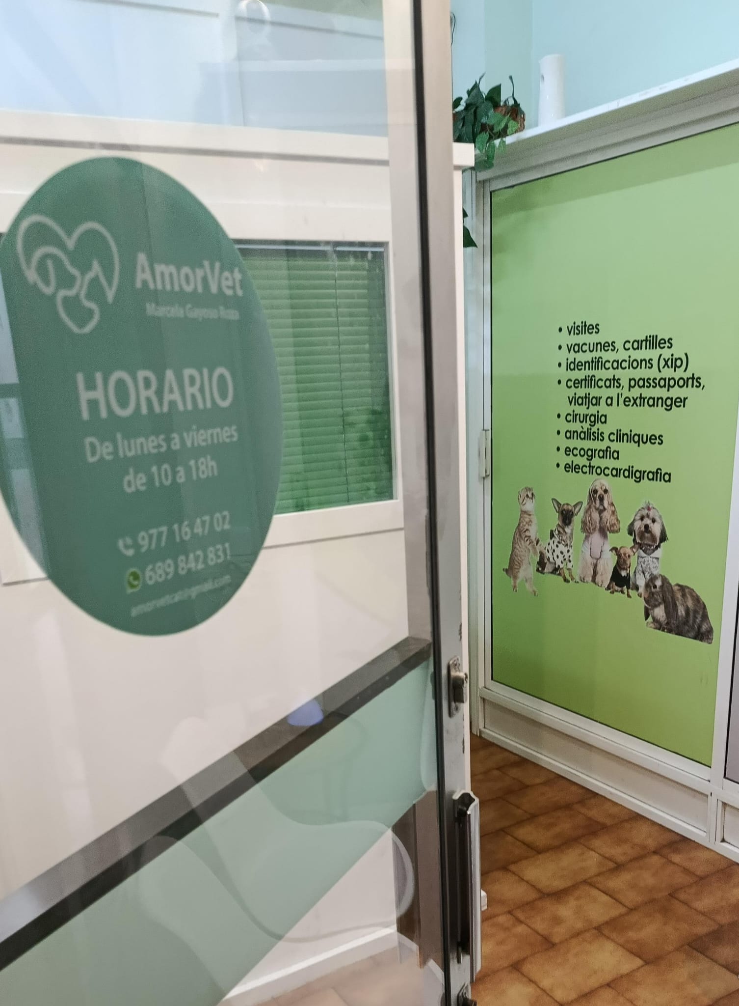 Centre Veterinari AmorVet