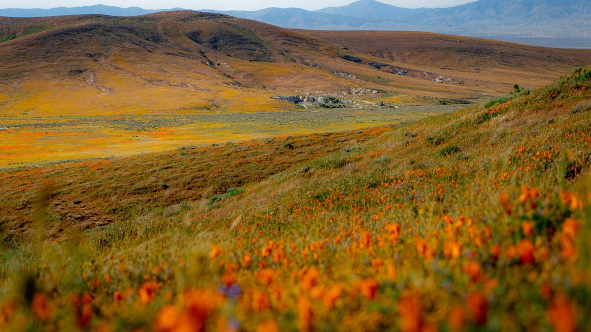 Antelope Valley landscape near Lancaster, California