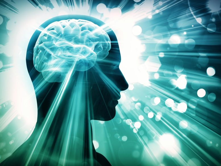 Cognitieve voordelen van creatine voor hersenfunctie en focus