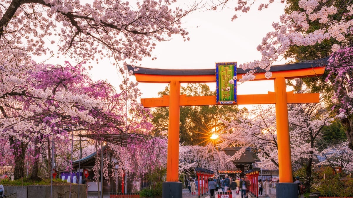 Japan on a Budget: How to Travel Japan Without Breaking the Bank