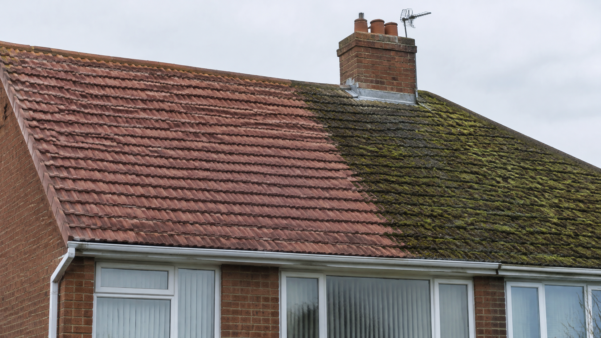 Roof half cleaned showing moss removal