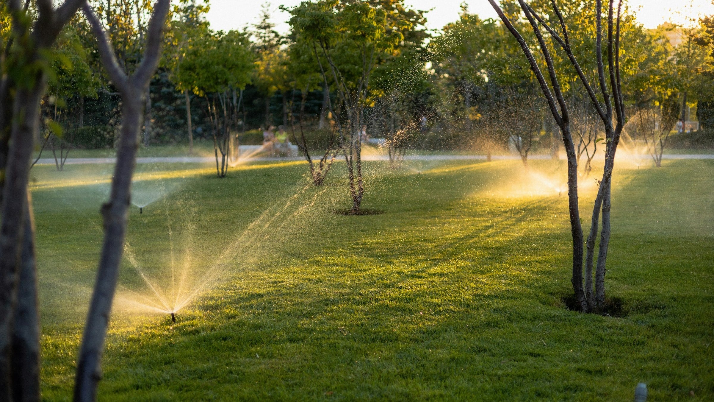 Sprinkler systems watering a lush green lawn in golden sunlight
