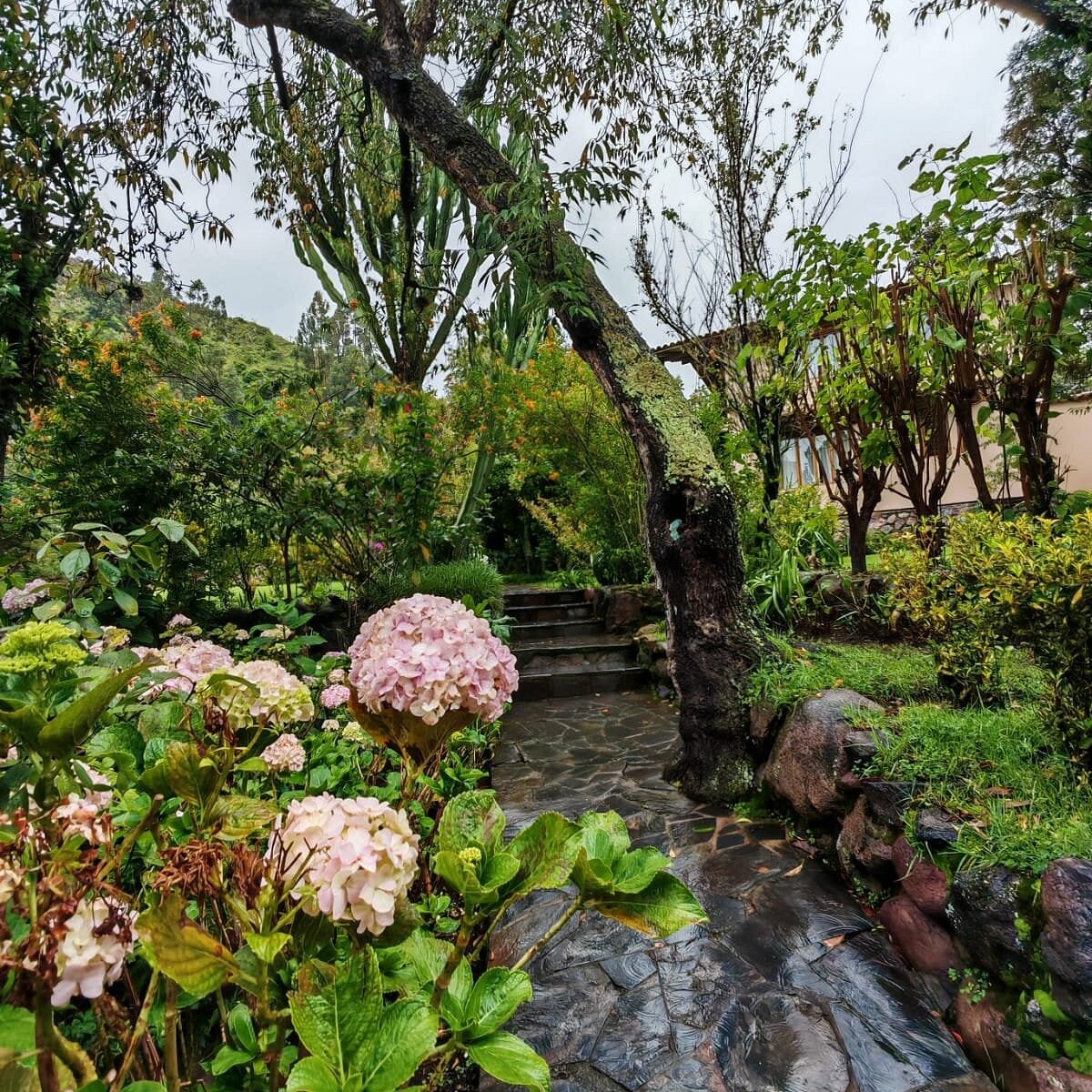 Jardín y patio del hotel Casa Talios