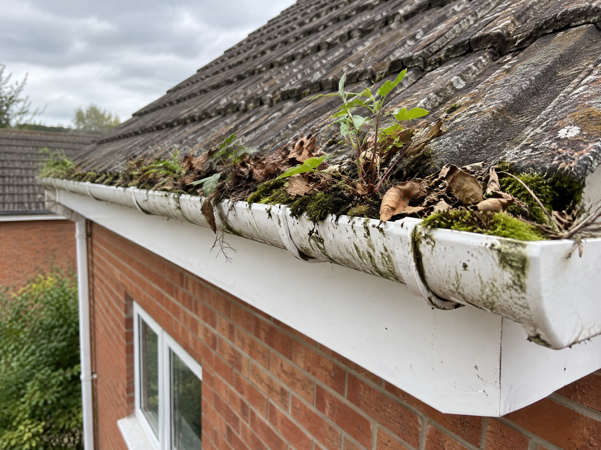Gutter Cleaning - before